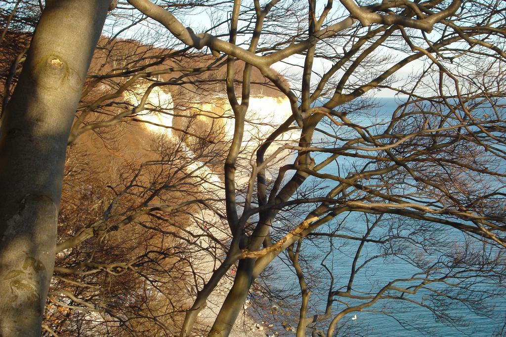 Ferienwohnung In Sassnitz Ruegen Naehe Weltnaturerbe Kreidekueste Exterior foto