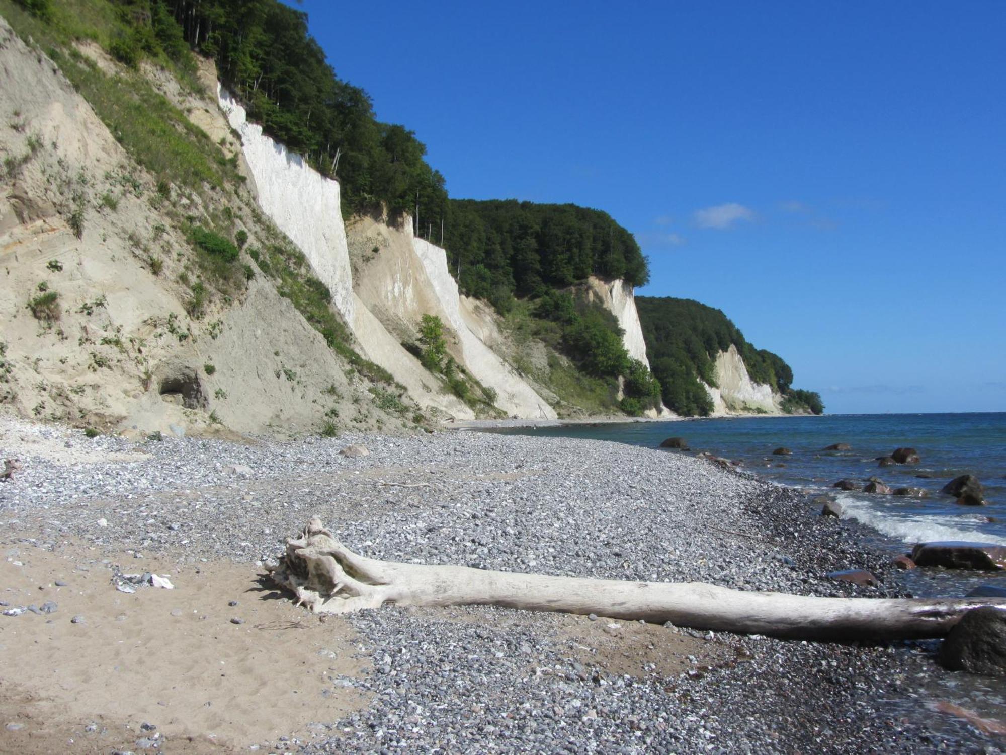 Ferienwohnung In Sassnitz Ruegen Naehe Weltnaturerbe Kreidekueste Exterior foto