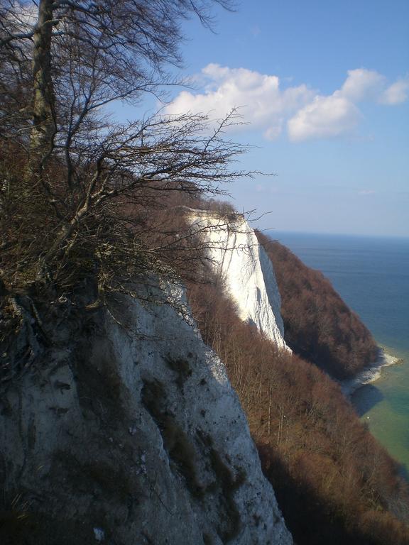 Ferienwohnung In Sassnitz Ruegen Naehe Weltnaturerbe Kreidekueste Exterior foto