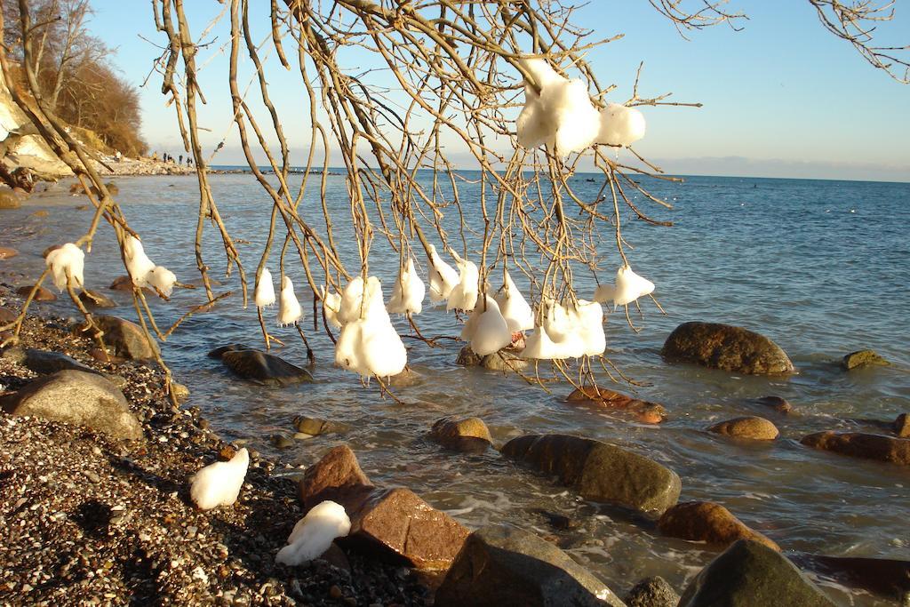 Ferienwohnung In Sassnitz Ruegen Naehe Weltnaturerbe Kreidekueste Exterior foto