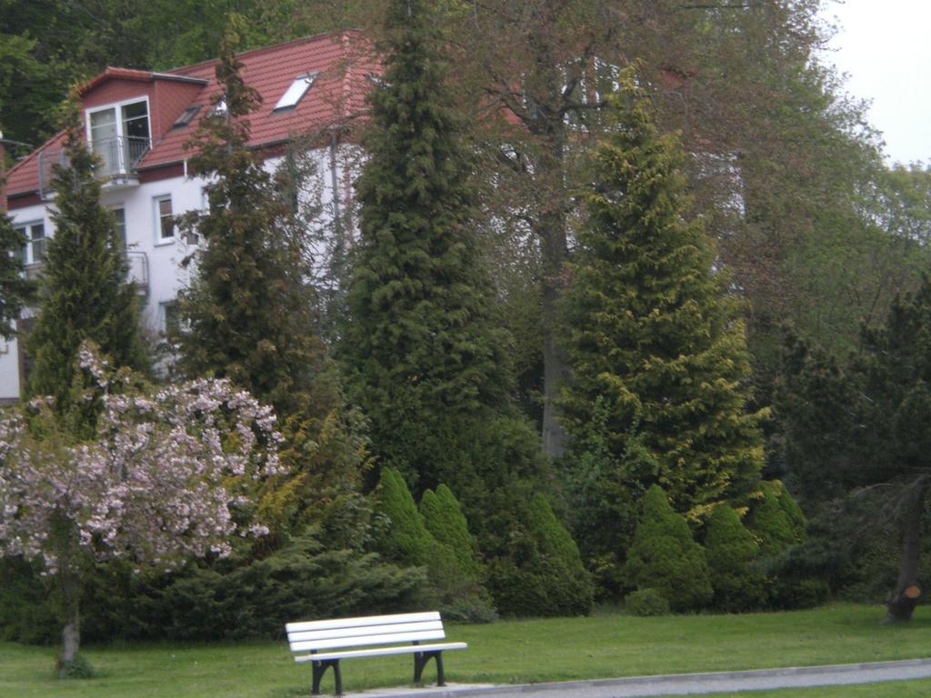 Ferienwohnung In Sassnitz Ruegen Naehe Weltnaturerbe Kreidekueste Exterior foto